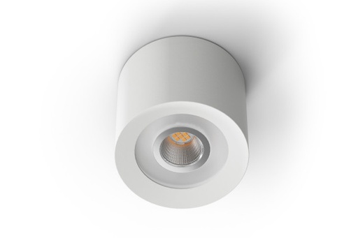 Loxone_100503 - LED Aufbauspot RGBW Tree Weiß